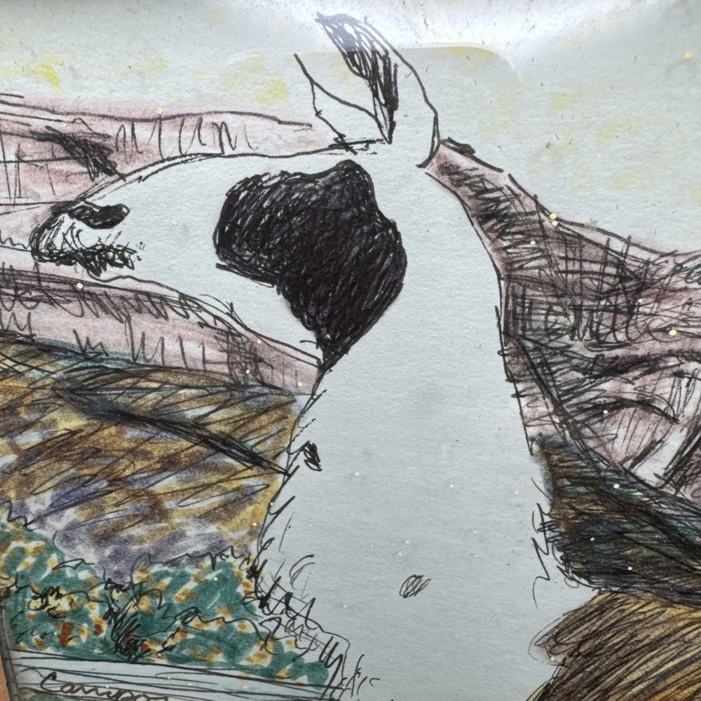 Theodore Ted Campos Art Drawing Pen Ink Sketch Color Ojai California Llama Farm